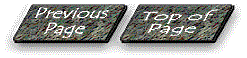 previoustop.gif (6621 bytes)