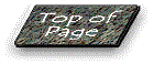 top.gif (4041 bytes)