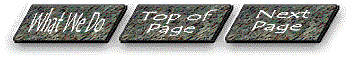 whatwetopnext.gif (9247 bytes)