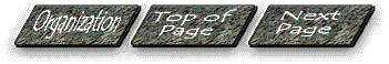 orgtopnext.gif (9236 bytes)